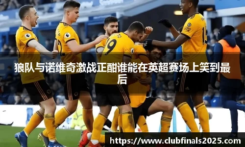 狼队与诺维奇激战正酣谁能在英超赛场上笑到最后